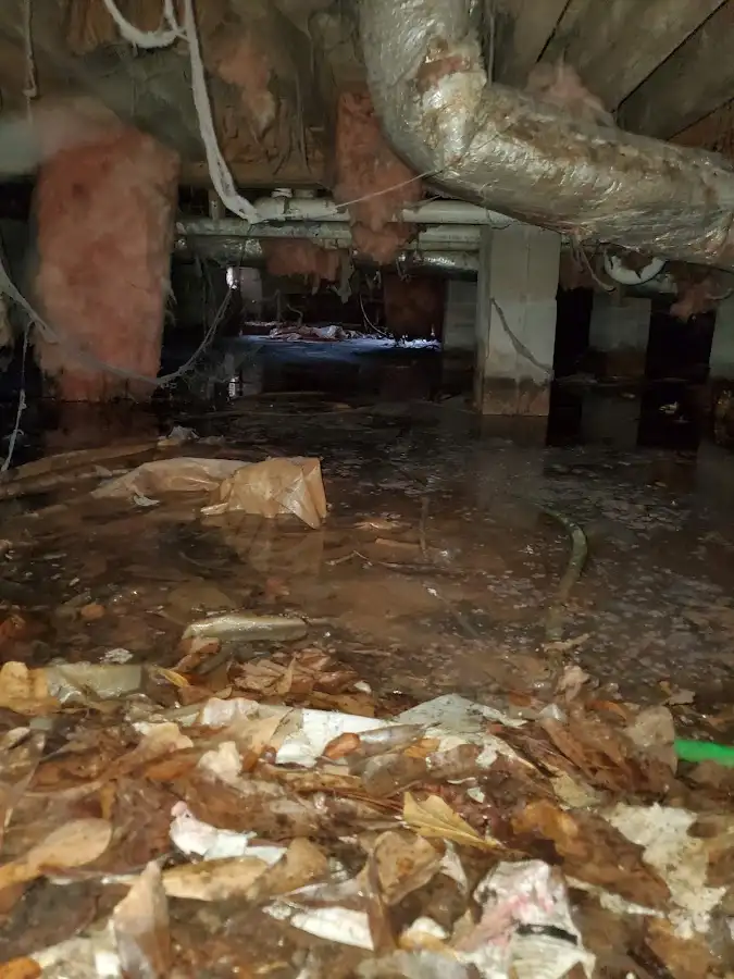 Crawl space flood assessment for Leak Detection & Repair in Eagle Point